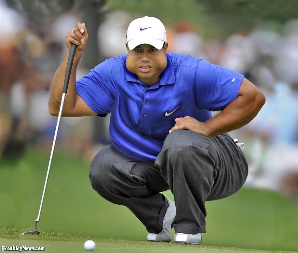 Fat Tiger Woods golfguru