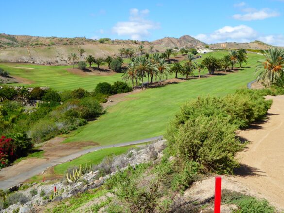 Jacek Zaidlewicz golfguru pl 5