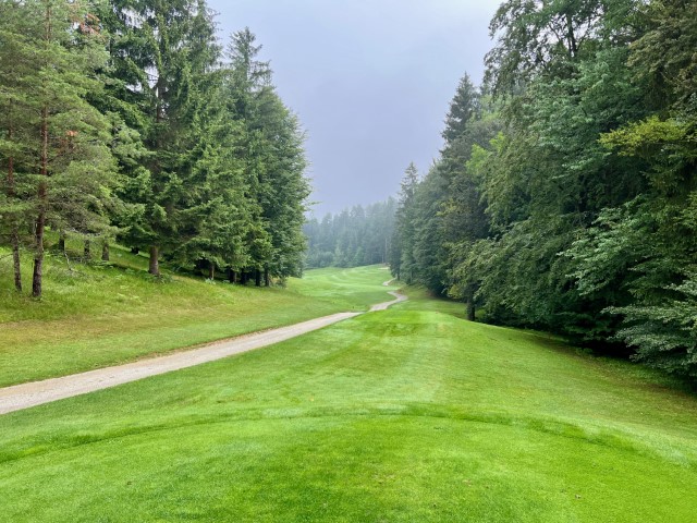 Arboretum Golf Course 11 1